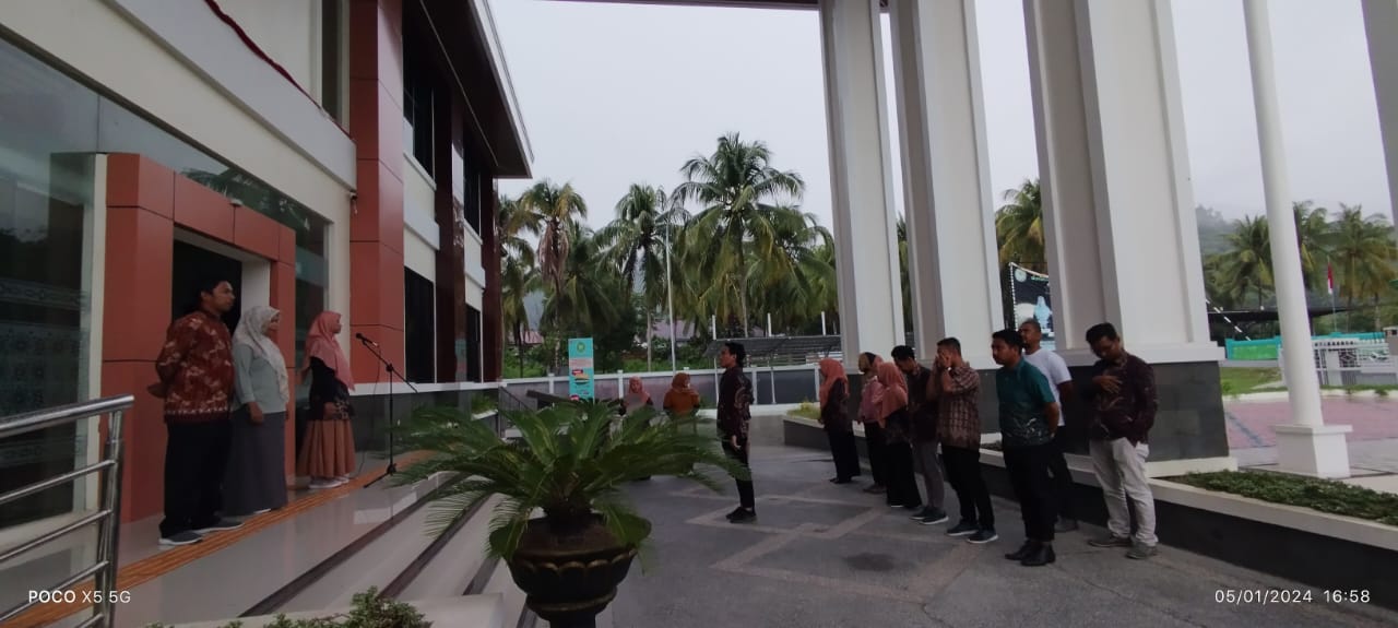 apelsore0501